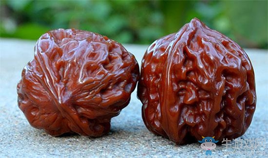 爐石傳說：職業選手自我放松的獨門法寶和秘技