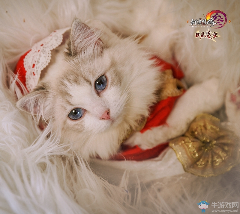 光明頂尬舞事件 《劍網(wǎng)3》明教正太MV發(fā)布