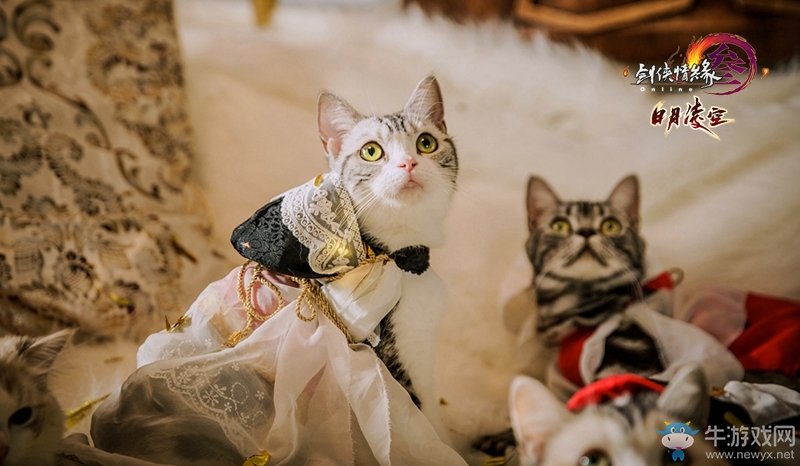 光明頂尬舞事件 《劍網(wǎng)3》明教正太MV發(fā)布