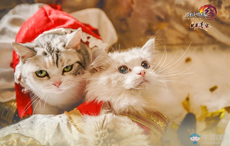 光明頂尬舞事件 《劍網(wǎng)3》明教正太MV發(fā)布