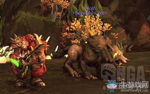 魔獸世界芬雷爾BUG不修改以后要單抓