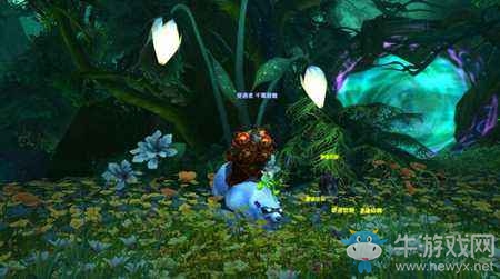 艾澤拉斯保衛(wèi)者的內(nèi)斗 獵人已入侵夢(mèng)境林地