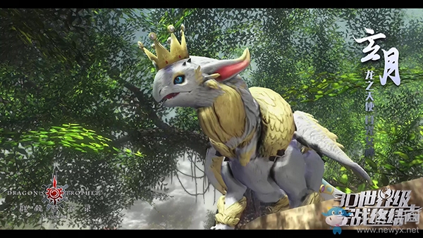 你不是一個人在戰斗 《群龍默示錄》極飛秘籍曝光