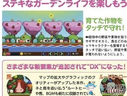 享受庭院生活吧!《種植庭院生活DX》詳細介紹