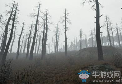 《絕地求生：大逃殺》公布霧天效果圖 新武器為半自動(dòng)卡賓槍