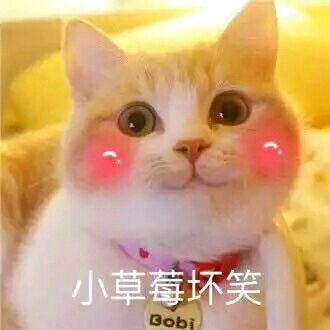 《爐石傳說》：風波平息之時 回顧反省之日