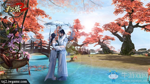 美女主播帶你飛！ 《天之禁2》戰團紅顏直播開啟