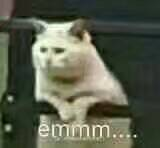 武俠搞事錄：《劍網(wǎng)3》新陣營日常？ 做積分搶車都一樣