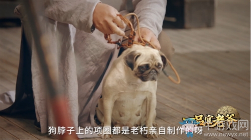官場(chǎng)無(wú)情王剛無(wú)私，一品官老爺連狗都不放過(guò)!