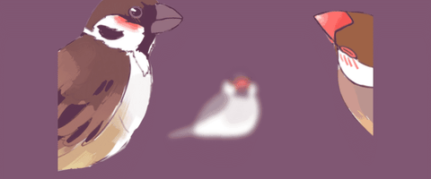 人不如鳥 《咕啾！文鳥戀愛物語》12月20日上市
