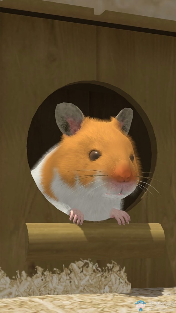 來養倉鼠吧！ 《Life with Hamster》預約開啟