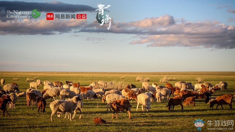 “世界環(huán)境日”網(wǎng)易《青璃》邀你一起守護(hù)美好守護(hù)綠水青山