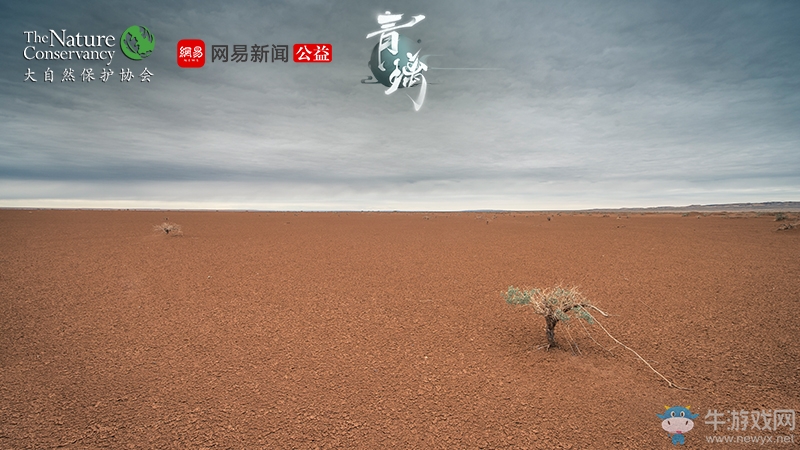 “世界環(huán)境日”網(wǎng)易《青璃》邀你一起守護(hù)美好守護(hù)綠水青山