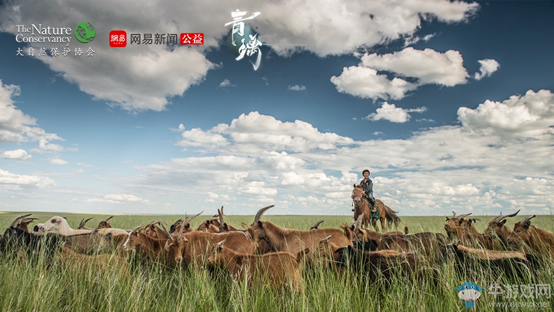 行在綠水青山間 網(wǎng)易東方俠客獨(dú)立新游《青璃》明日iOS正式上線