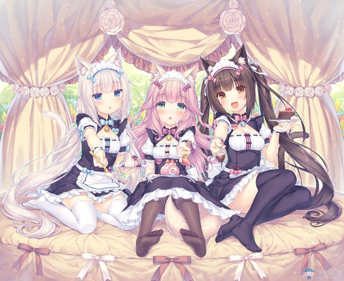 全新貓娘草莓為你服務(wù)！《Nekoparaiten!》公布