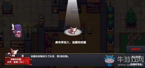 創(chuàng)造世界一定要有貓是常識，《伊洛納》世界觀大講堂開課啦——！