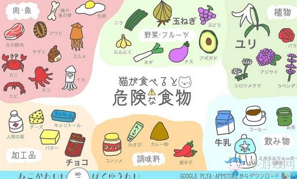 吸貓治愈系手游《貓咪與幽靈的溫馨日常》簡(jiǎn)單介紹