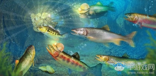 觀極光釣大魚(yú) 《釣魚(yú)大對(duì)決》新漁場(chǎng)“靈恩峽灣”上線!