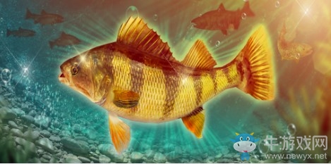 《釣魚大對決》新魚情基奈河新添河黃鱸 史詩挑戰(zhàn)賽今日開啟