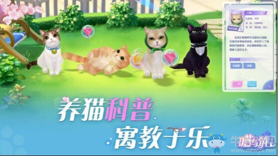 有貓的你最幸福 多益網(wǎng)絡(luò)2020年首款甜系治愈消除手游《喵與筑》開啟安卓首測