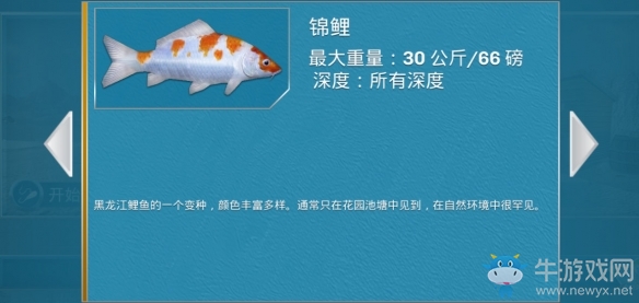 《冰釣大師》手游今日上線安卓平臺(tái)