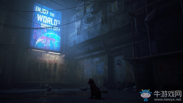 流浪貓大冒險！第三人稱冒險新游《Stray》上架Steam