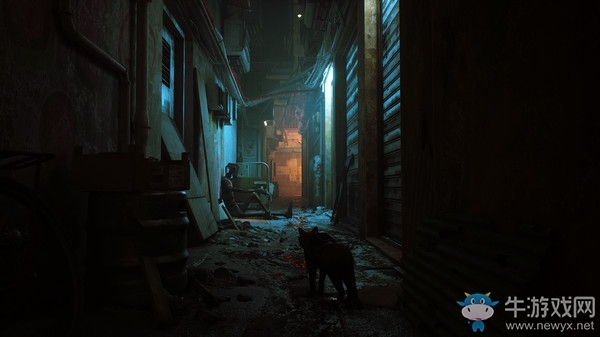 流浪貓大冒險！第三人稱冒險新游《Stray》上架Steam