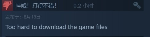《微軟飛行模擬》Steam評價褒貶不一 下的太慢退不了款！