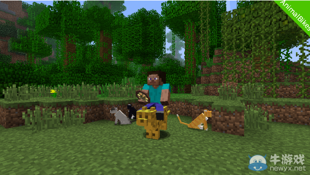 我的世界1.8.9動物坐騎mod
