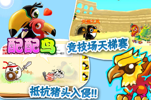 配配鳥