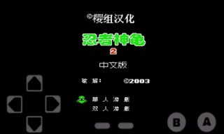 忍者神龟30命