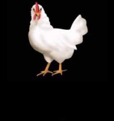 模擬動物發(fā)聲