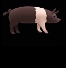 模擬動物發(fā)聲