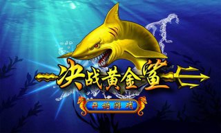 決戰(zhàn)黃金鯊