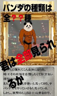 熊貓之神