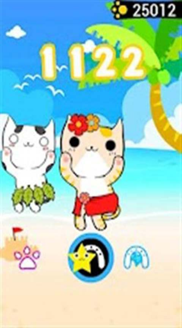 跳舞貓