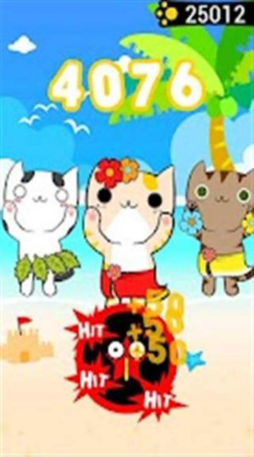 跳舞貓