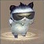 天龙八部 墨镜猫