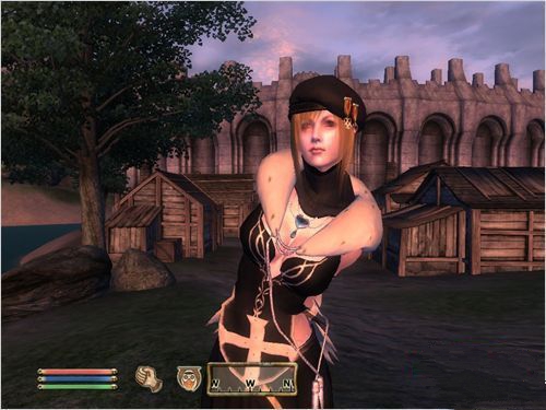 《上古卷軸》游戲截圖2